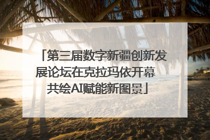 第三届数字新疆创新发展论坛在克拉玛依开幕 共绘AI赋能新图景