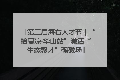 第三届海右人才节｜“拾夏凉·华山站”激活“生态聚才”强磁场