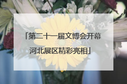 第二十一届文博会开幕 河北展区精彩亮相