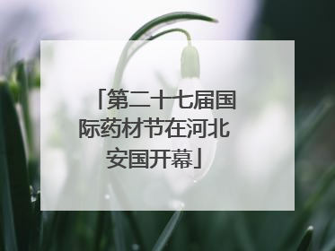 第二十七届国际药材节在河北安国开幕