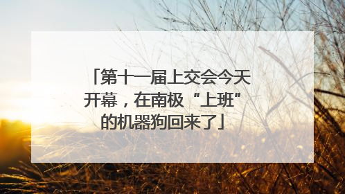 第十一届上交会今天开幕，在南极“上班”的机器狗回来了