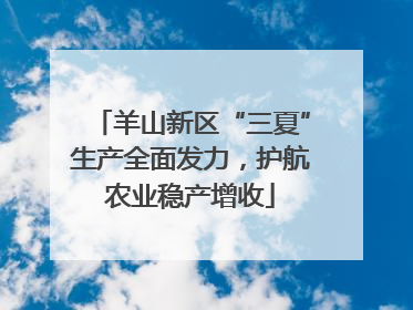 羊山新区“三夏”生产全面发力，护航农业稳产增收