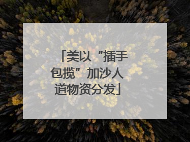 美以“插手包揽”加沙人道物资分发