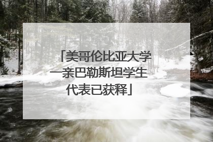 美哥伦比亚大学一亲巴勒斯坦学生代表已获释