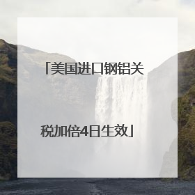 美国进口钢铝关税加倍4日生效