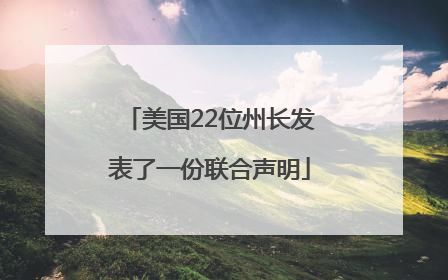 美国22位州长发表了一份联合声明