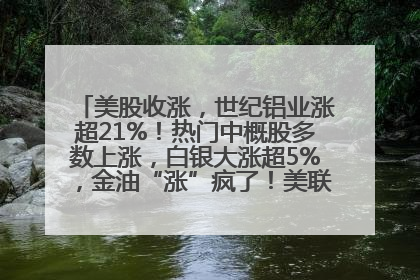 美股收涨，世纪铝业涨超21%！热门中概股多数上涨，白银大涨超5%，金油“涨”疯了！美联储官员最新表态