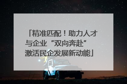 精准匹配！助力人才与企业“双向奔赴” 激活民企发展新动能