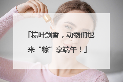 粽叶飘香，动物们也来“粽”享端午！
