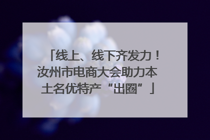 线上、线下齐发力！汝州市电商大会助力本土名优特产“出圈”