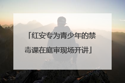 红安专为青少年的禁毒课在庭审现场开讲