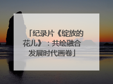 纪录片《绽放的花儿》：共绘融合发展时代画卷