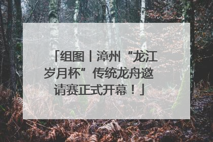 组图丨漳州“龙江岁月杯”传统龙舟邀请赛正式开幕！