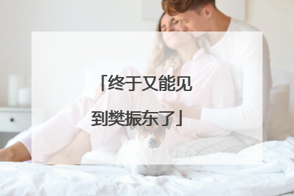 终于又能见到樊振东了
