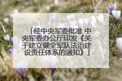经中央军委批准 中央军委办公厅印发《关于建立健全军队法治建设责任体系的通知》