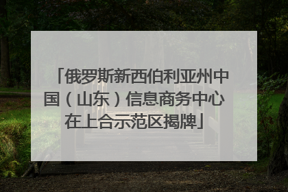 俄罗斯新西伯利亚州中国（山东）信息商务中心在上合示范区揭牌