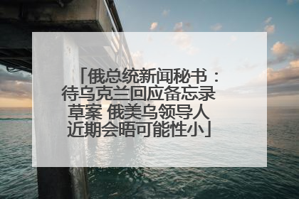 俄总统新闻秘书：待乌克兰回应备忘录草案 俄美乌领导人近期会晤可能性小