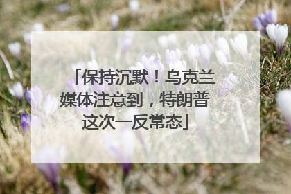 保持沉默！乌克兰媒体注意到，特朗普这次一反常态