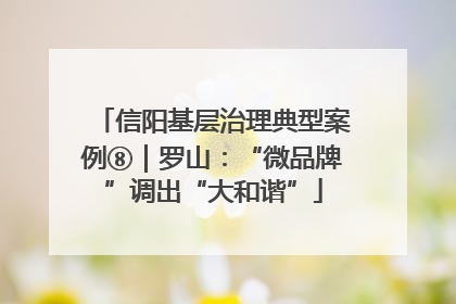 信阳基层治理典型案例⑧｜罗山：“微品牌”调出“大和谐”