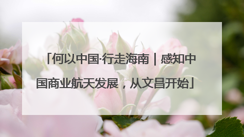 何以中国·行走海南｜感知中国商业航天发展，从文昌开始