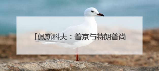 佩斯科夫：普京与特朗普尚未就会面事宜达成任何协议