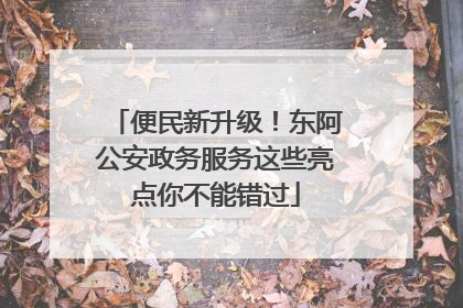 便民新升级！东阿公安政务服务这些亮点你不能错过