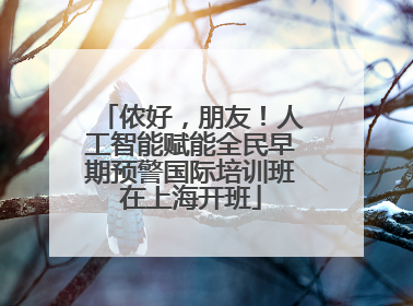 侬好，朋友！人工智能赋能全民早期预警国际培训班在上海开班