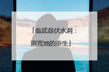 临武县伏水洞：撂荒地的重生
