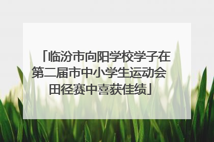 临汾市向阳学校学子在第二届市中小学生运动会田径赛中喜获佳绩