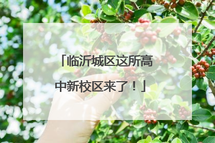 临沂城区这所高中新校区来了！