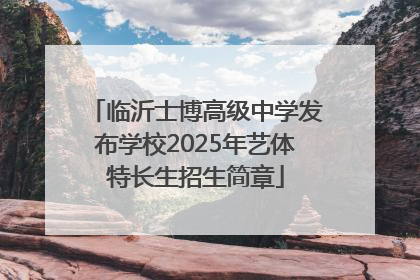 临沂士博高级中学发布学校2025年艺体特长生招生简章
