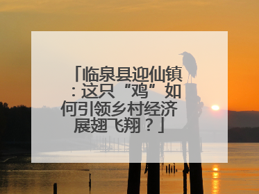临泉县迎仙镇：这只“鸡”如何引领乡村经济展翅飞翔？