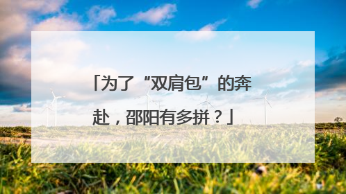 为了“双肩包”的奔赴，邵阳有多拼？