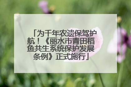 为千年农遗保驾护航！《丽水市青田稻鱼共生系统保护发展条例》正式施行