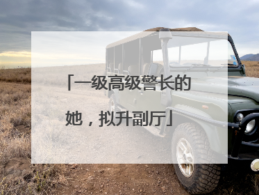 一级高级警长的她，拟升副厅