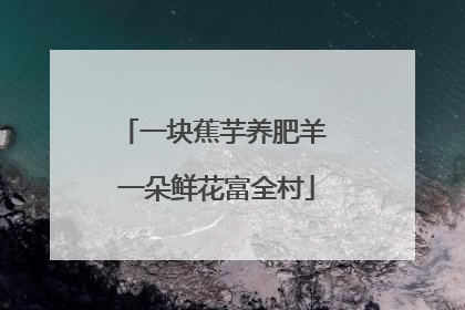 一块蕉芋养肥羊 一朵鲜花富全村