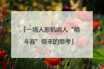 一场人形机器人“格斗赛”带来的思考