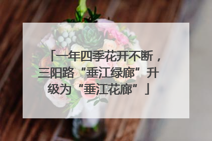 一年四季花开不断，三阳路“垂江绿廊”升级为“垂江花廊”