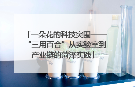 一朵花的科技突围——“三用百合”从实验室到产业链的菏泽实践