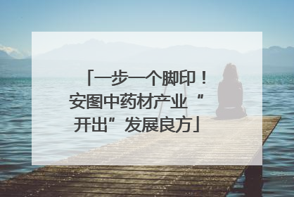 一步一个脚印！安图中药材产业“开出”发展良方