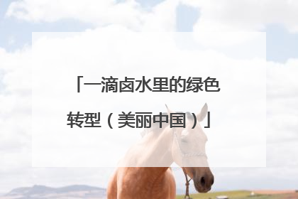 一滴卤水里的绿色转型（美丽中国）