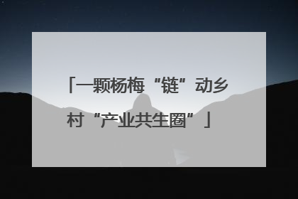 一颗杨梅“链”动乡村“产业共生圈”