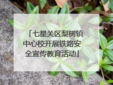 七星关区梨树镇中心校开展铁路安全宣传教育活动