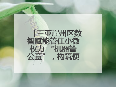 三亚崖州区数智赋能管住小微权力 “机器管公章”，构筑便民服务新生态