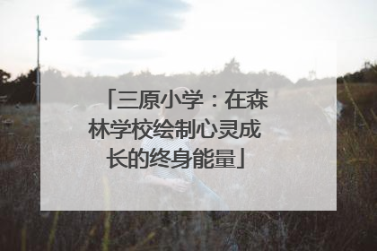 三原小学：在森林学校绘制心灵成长的终身能量