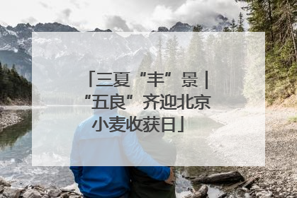 三夏“丰”景｜“五良”齐迎北京小麦收获日