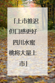 上市推迟但口感更好 四川水蜜桃将大量上市