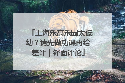 上海乐高乐园太低幼？请先做功课再给差评｜锋面评论