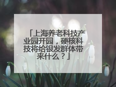 上海养老科技产业园开园，硬核科技将给银发群体带来什么？