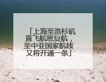 上海至洛杉矶直飞航班复航，至中亚国家航线又将开通一条